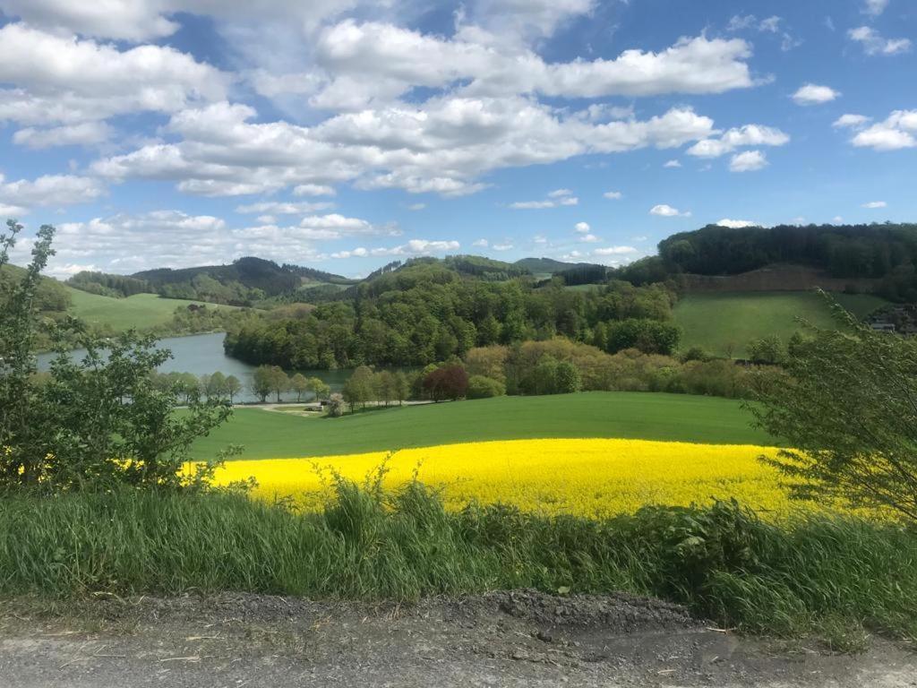Haus Am Hennesee Meschede Kültér fotó